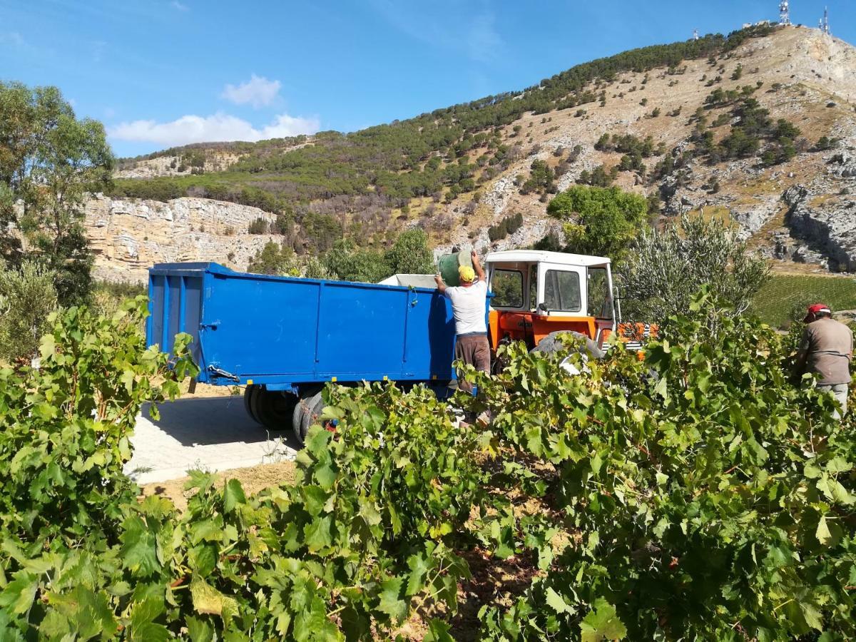 Villa Bonifato Vista Sulle Campagne E Sul Mare Siciliano Cozy House Italy Alcamo Eksteriør bilde