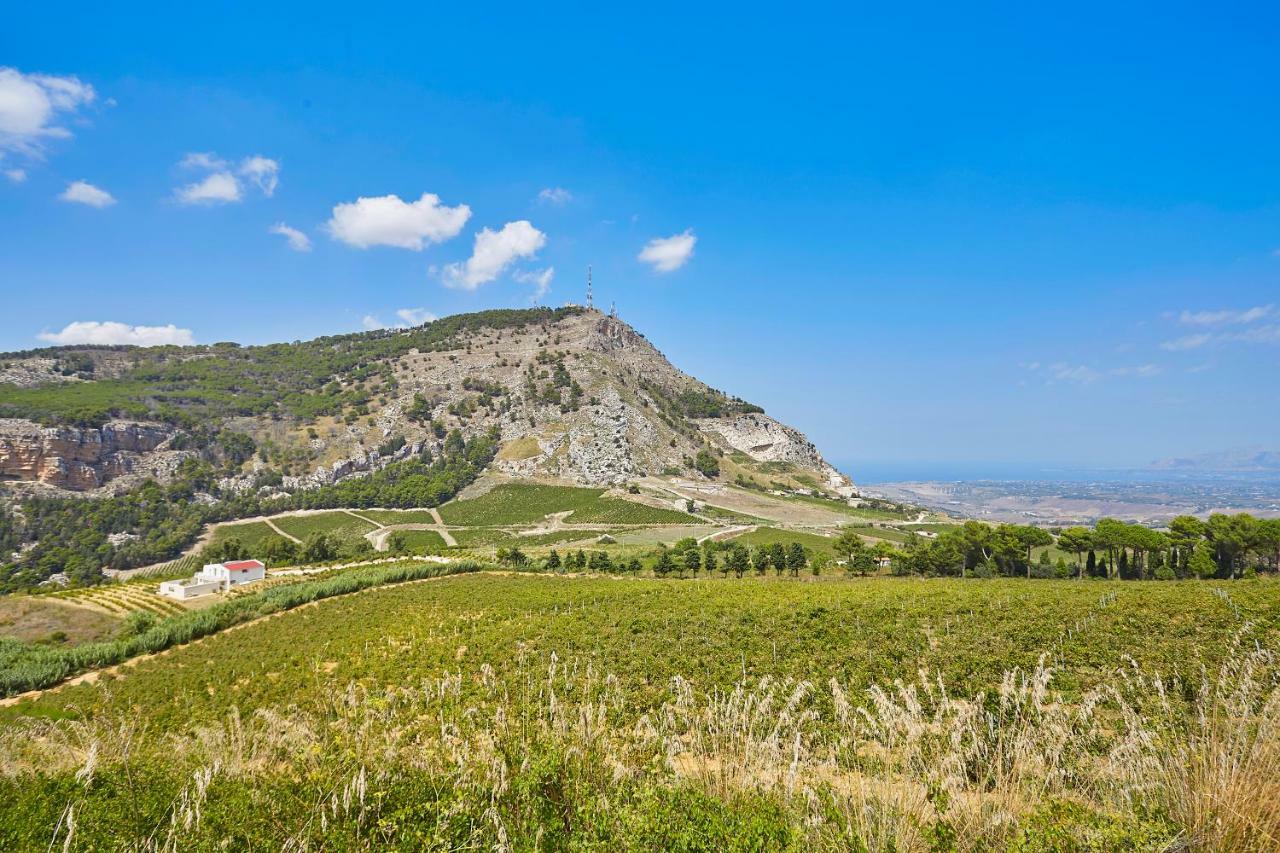 Villa Bonifato Vista Sulle Campagne E Sul Mare Siciliano Cozy House Italy Alcamo Eksteriør bilde